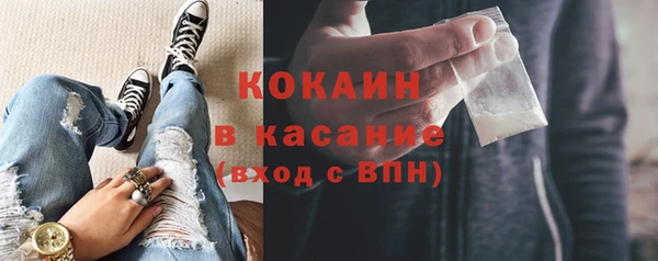 стафф Алексин