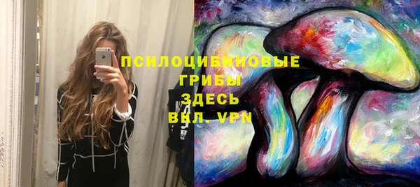 а пвп мука Алзамай