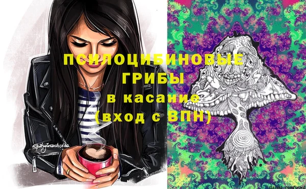 крисы Алексеевка
