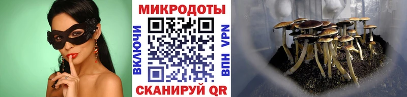 Галлюциногенные грибы MAGIC MUSHROOMS  магазин    Андреаполь 